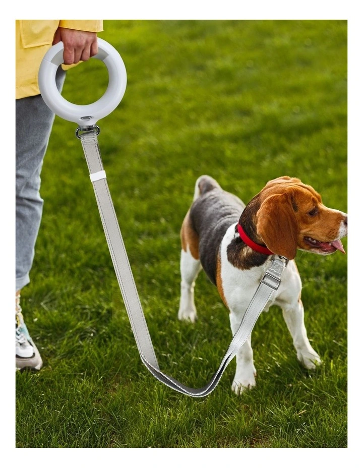LED Pet Leash Lead Walking Rope 45kg Capacity in White image 7