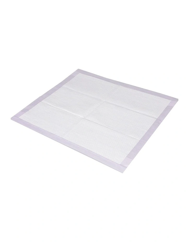 Dog Toilet 60x60cm Training Pad 100 Pack in White image 1