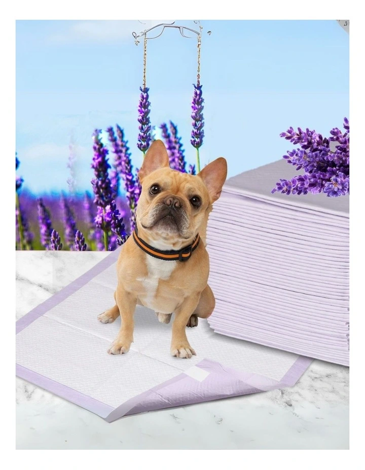 Dog Toilet 60x60cm Training Pad 200 Pack in White image 2