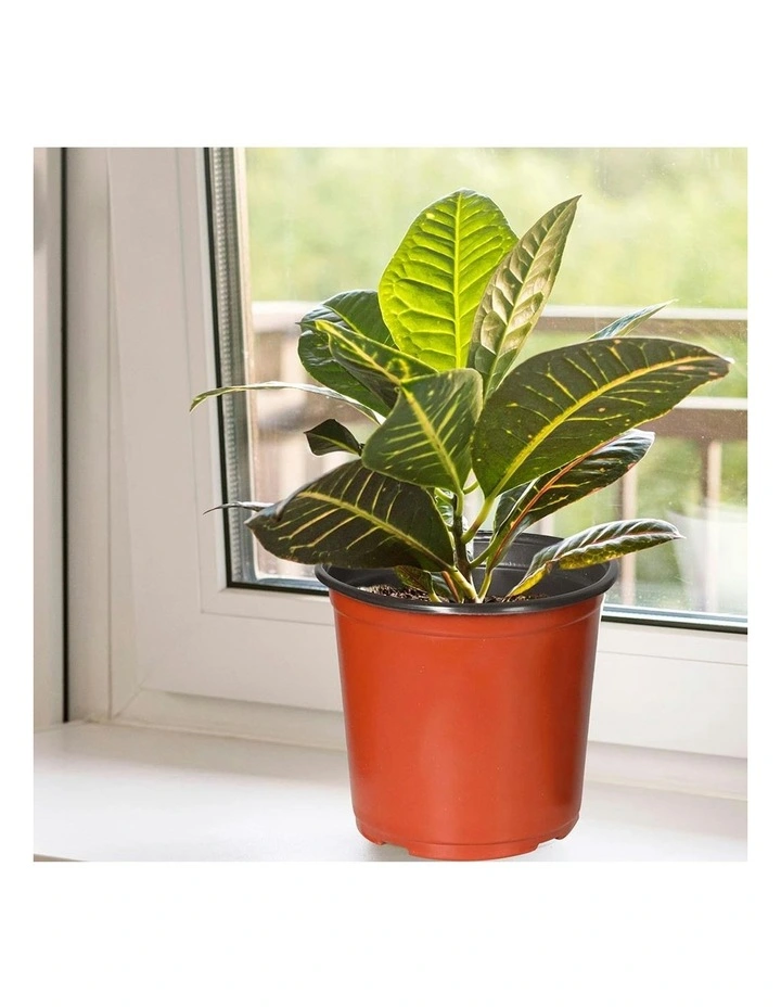 100x Plastic Plant Pots in Orange image 7