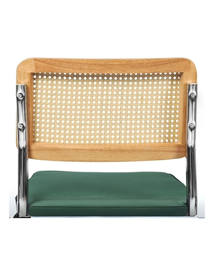Rattan Cesca Dining Chairs in Multi image 5