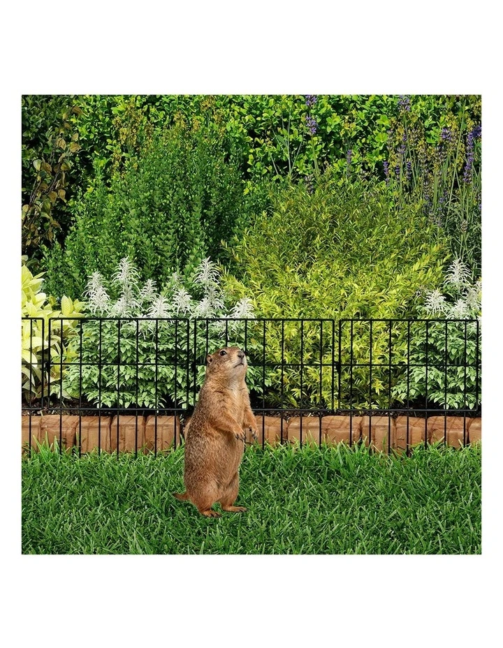 Rustproof Metal Wire Animal Barrier Flower Edging Garden Border Fence in Black image 6