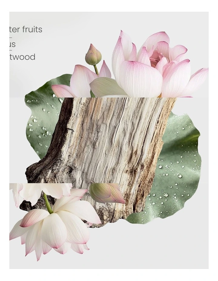 Zen Garden Oil 30ml image 5