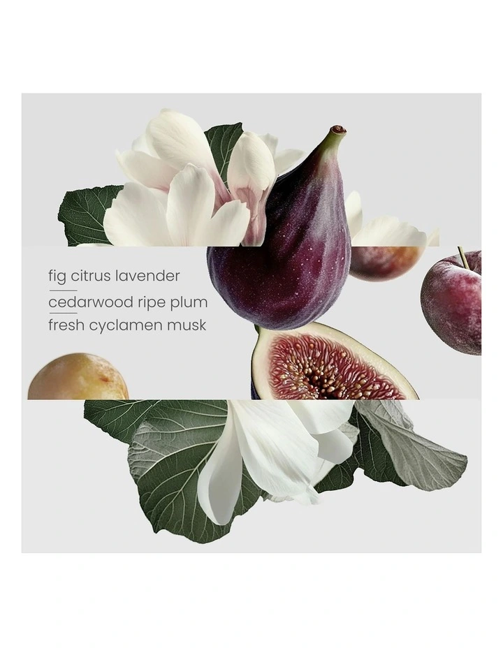 Fig Tree Candle 400g image 7