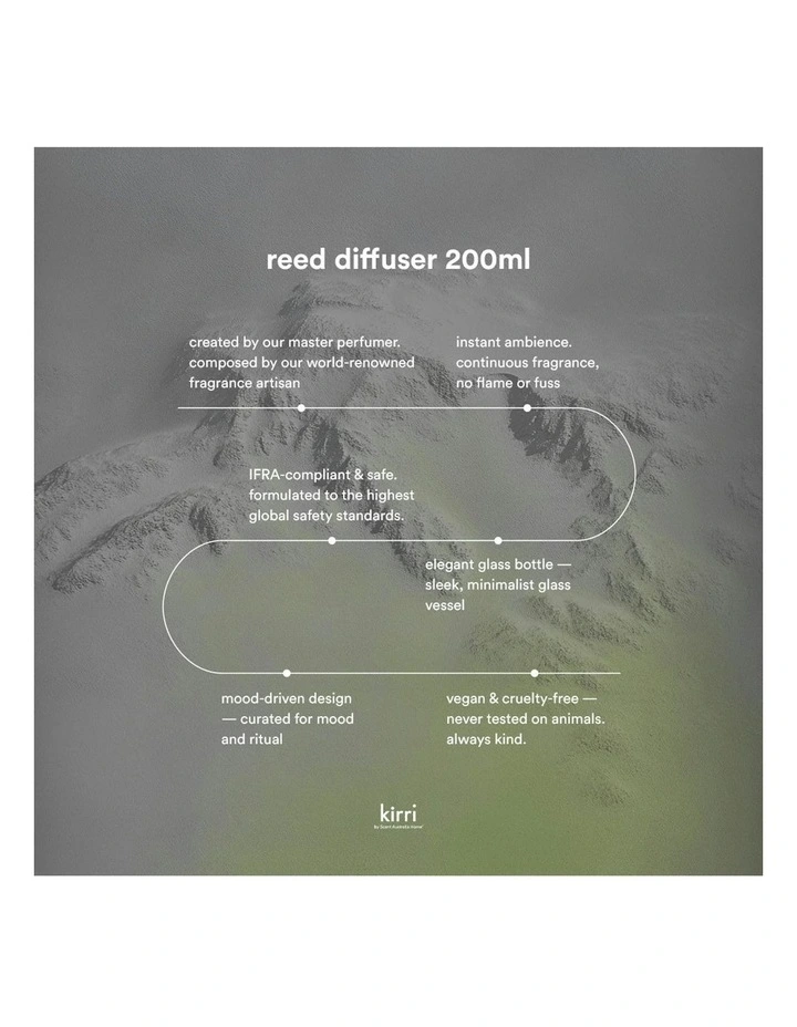 Santal Woods Reed Diffuser Trio (Formerly Santal 66) image 6