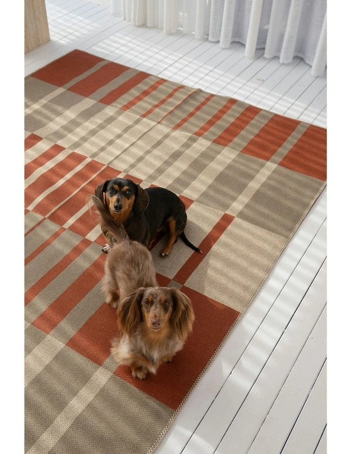 Chat Washable New Jute Area Rug in Red image 2