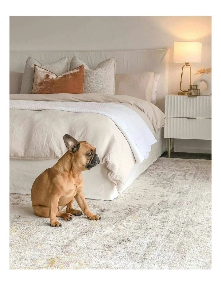 Aysha Traditional Medallion Rug in Cream image 2
