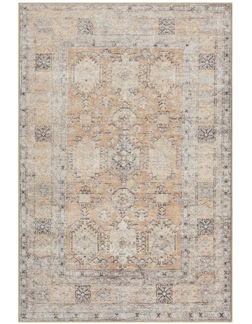 Sydelle Traditional Distressed Washable Rug in Brown and Grey