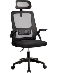 Mesh Executive Office Chair in Black