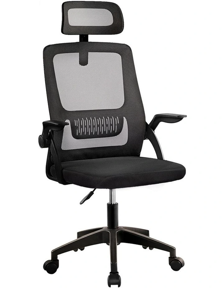 Mesh Executive Office Chair in Black image 1