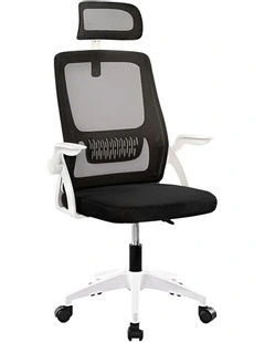 Mesh Executive Office Chair in Black