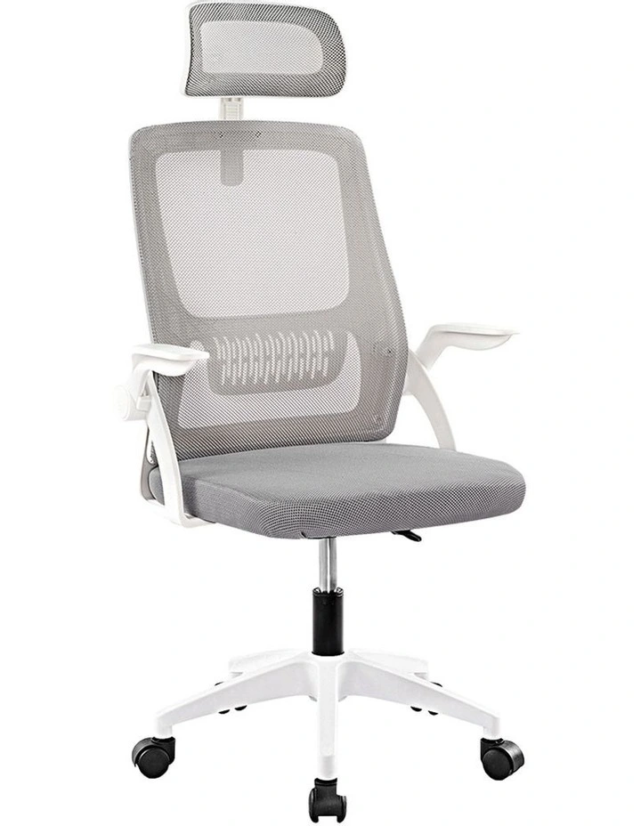 Mesh Executive Office Chair in Grey image 1