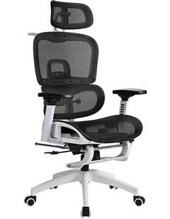 Ergonomic Office Chair in Black/White