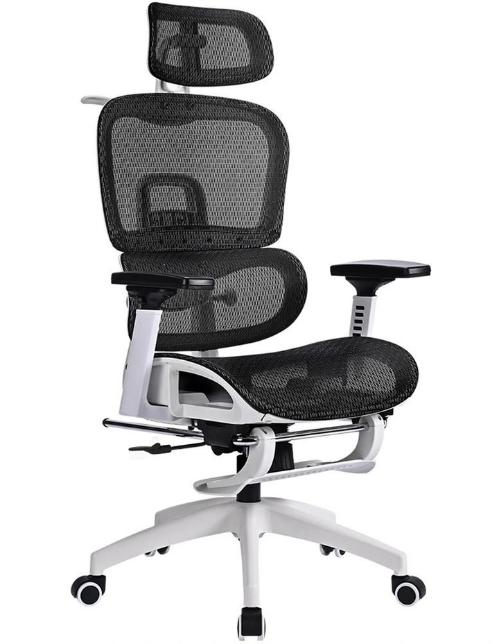 Ergonomic Office Chair in Black/White image 1