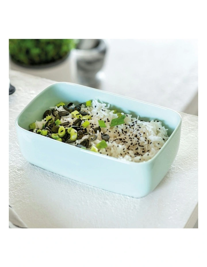 ToGo a ToStay L Rectangle Mineral Lunch Box in Green image 5