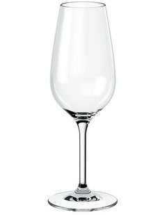 Entree Champagne Flute Set 4 Pieces in Clear
