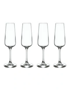 Ovid Champagne Flute Glass Set Of 4 Pieces in Clear