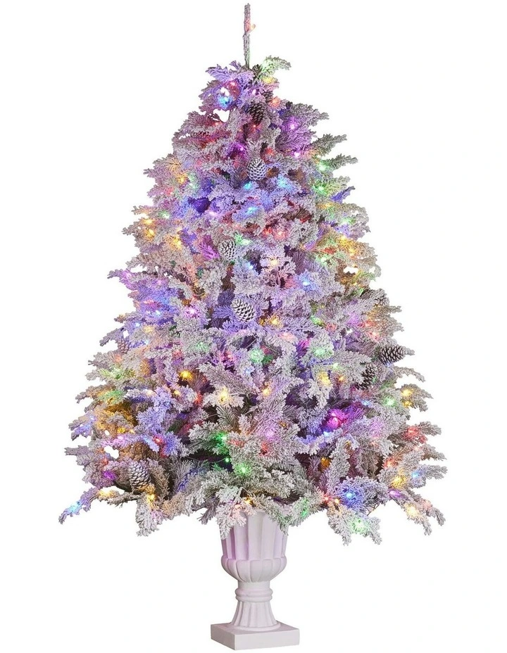 Potted Alpine Fir Christmas Tree With Multi-Colour Lights 7.5ft image 3