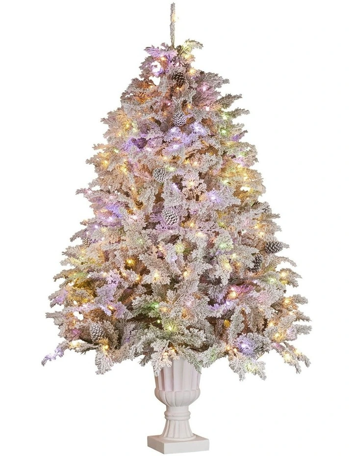 Potted Alpine Fir Christmas Tree With Multi-Colour Lights 7.5ft image 4