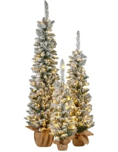 Christmas Trees with LED Lights & Hessian Base Set Of 3 in Multi