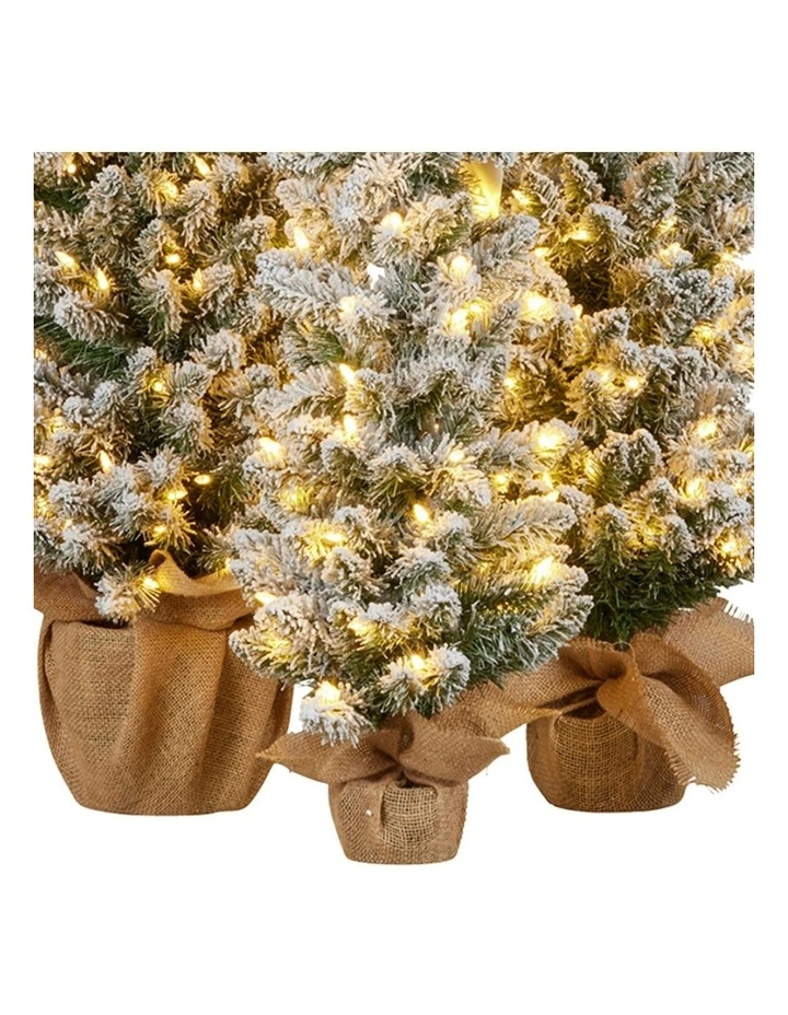 Christmas Trees with LED Lights & Hessian Base Set Of 3 in Multi image 4