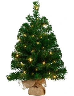 Pre-Lit Tabletop Christmas Tree in Chadwick Green