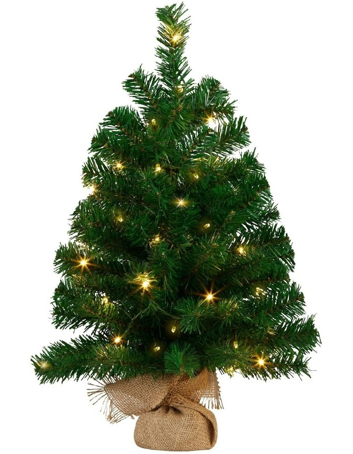 Pre-Lit Tabletop Christmas Tree in Chadwick Green image 1