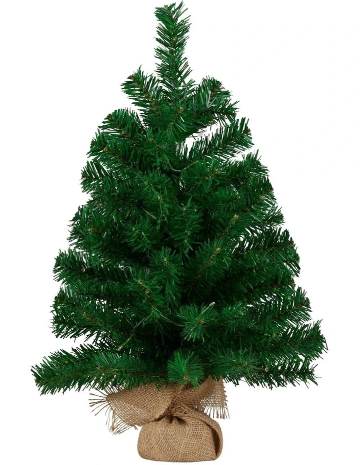 Pre-Lit Tabletop Christmas Tree in Chadwick Green image 4