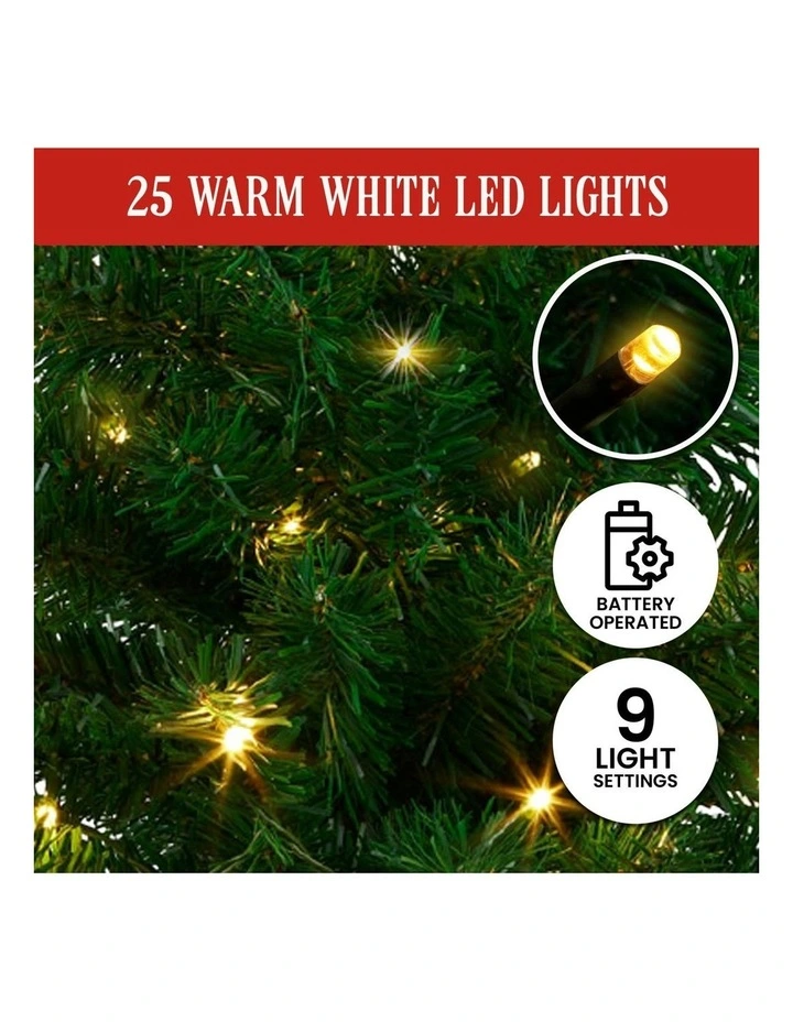 Pre-Lit Tabletop Christmas Tree in Chadwick Green image 5