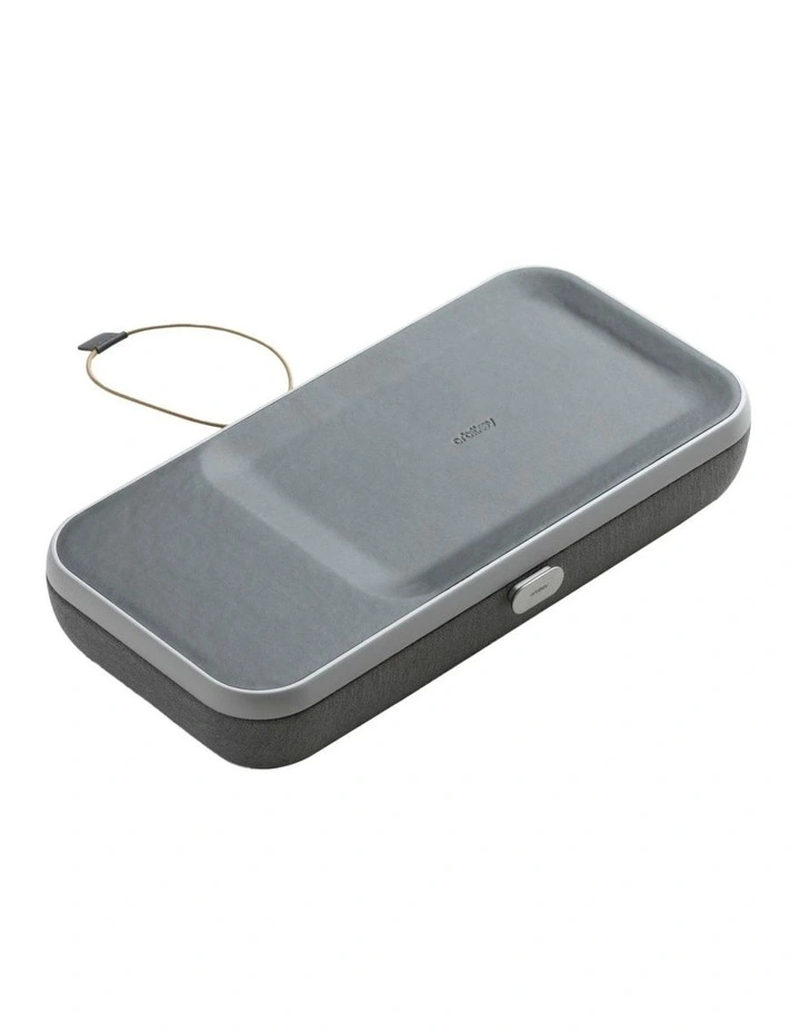 Nest v2 in Ash image 2