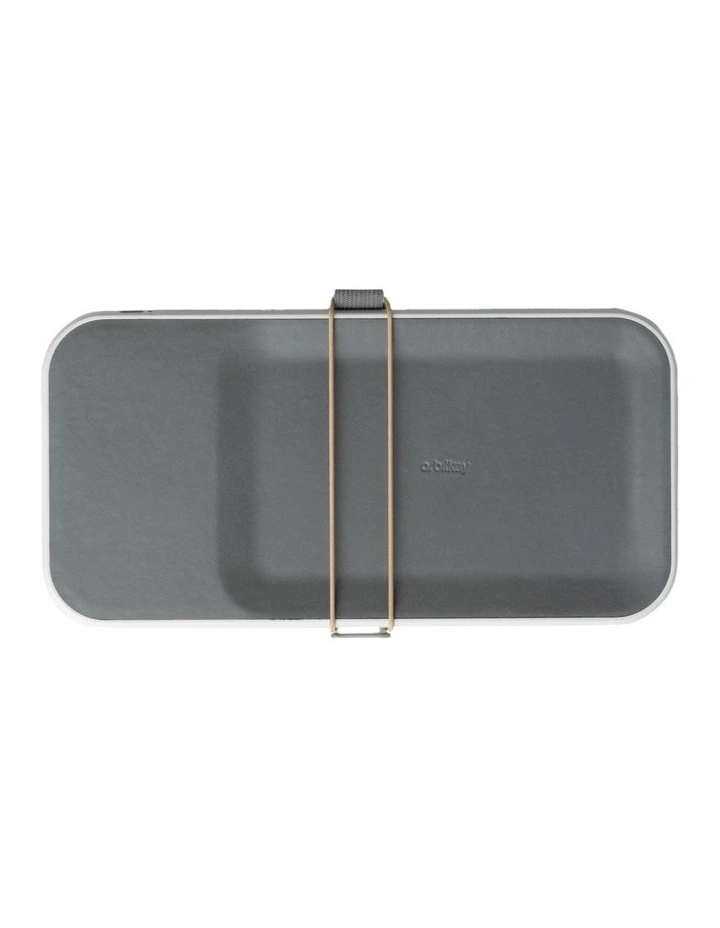 Nest v2 in Ash image 3