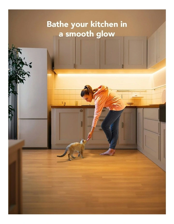 Indoor + Outdoor Strip Light Pro 10M image 5