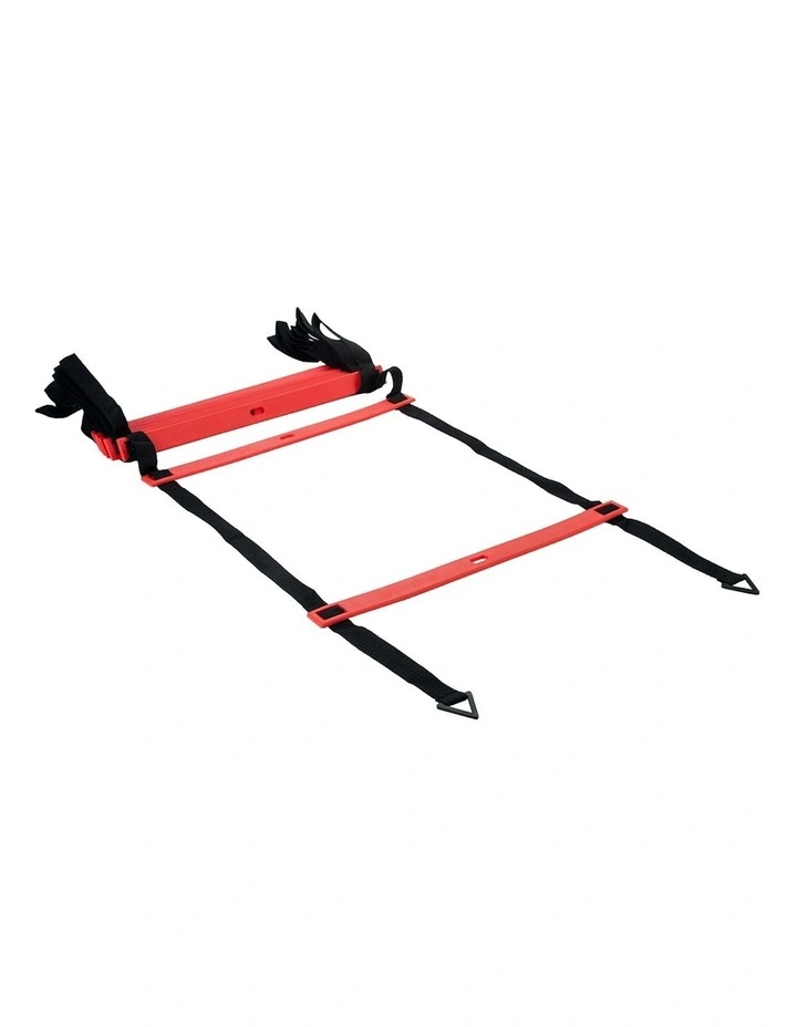 P2I Agility Pro Ladder in Multi image 1