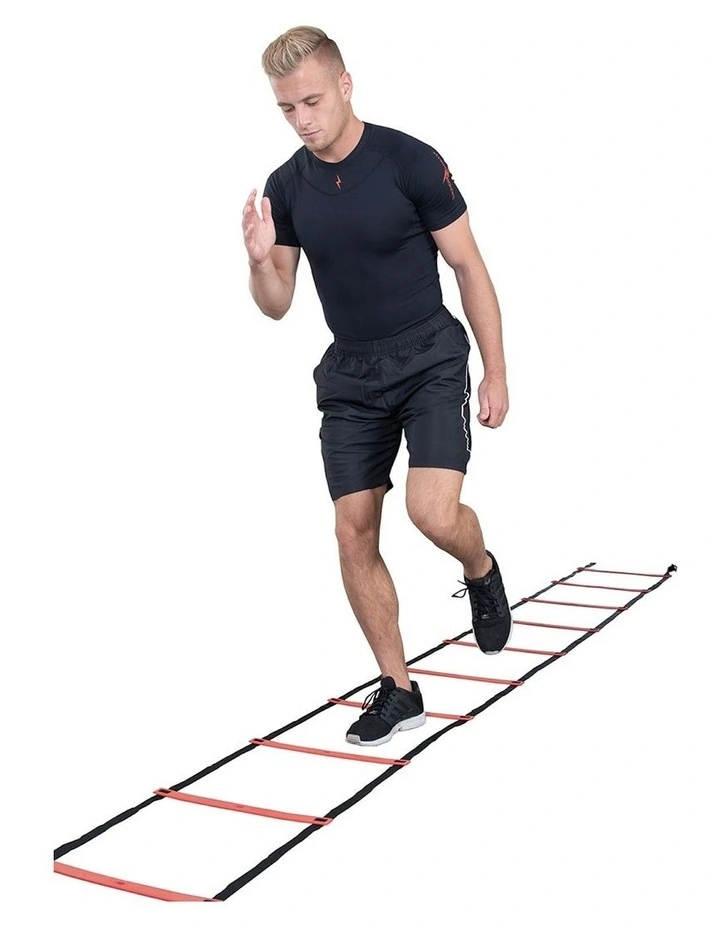 P2I Agility Pro Ladder in Multi image 2