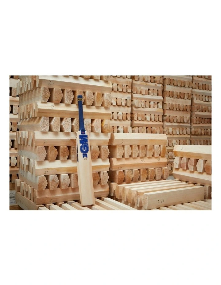 GM BRAVA DXM ORIGINAL LE SENIOR SH image 7