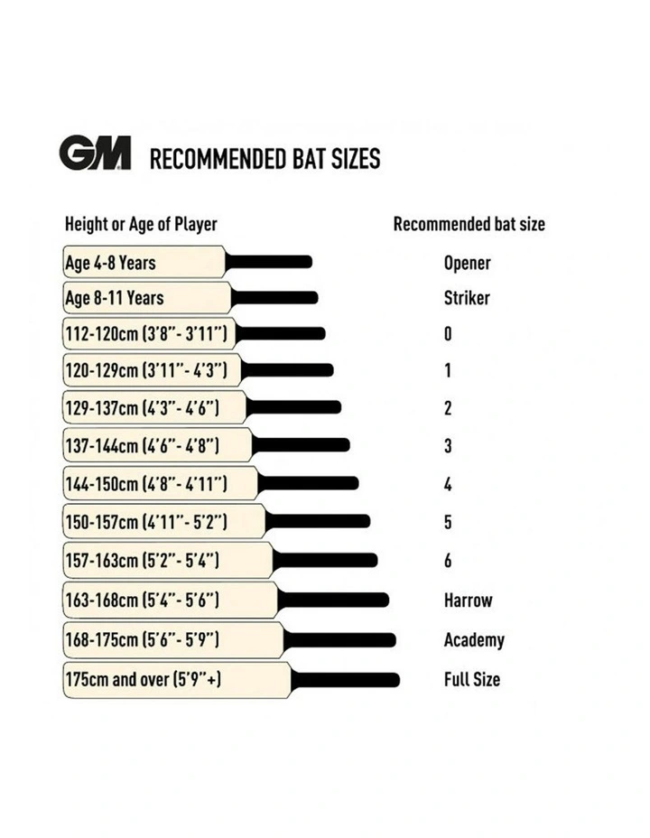 S25 Psyche 404 SH Cricket Bat image 6
