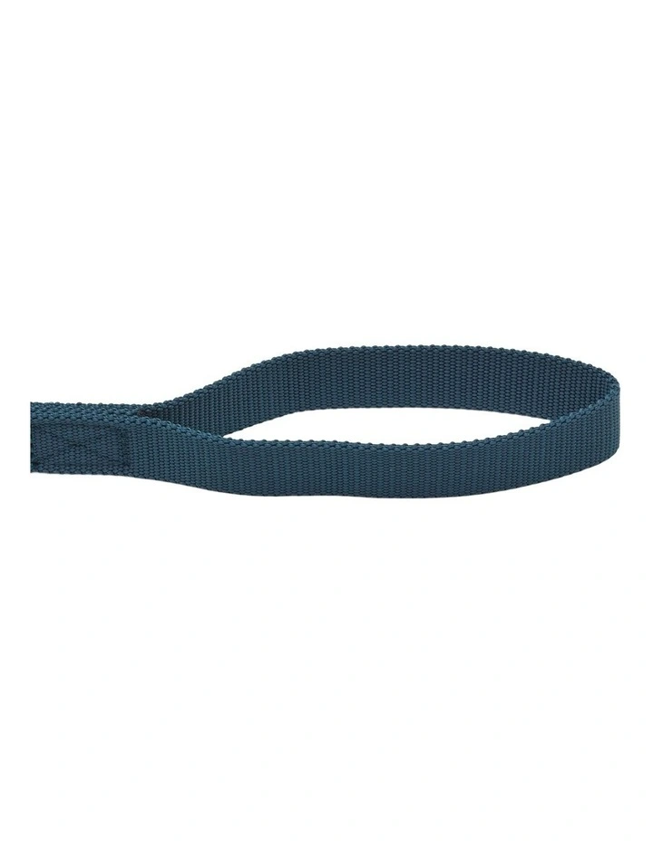 Dog Longline 100 Lead 5m in Blue image 3
