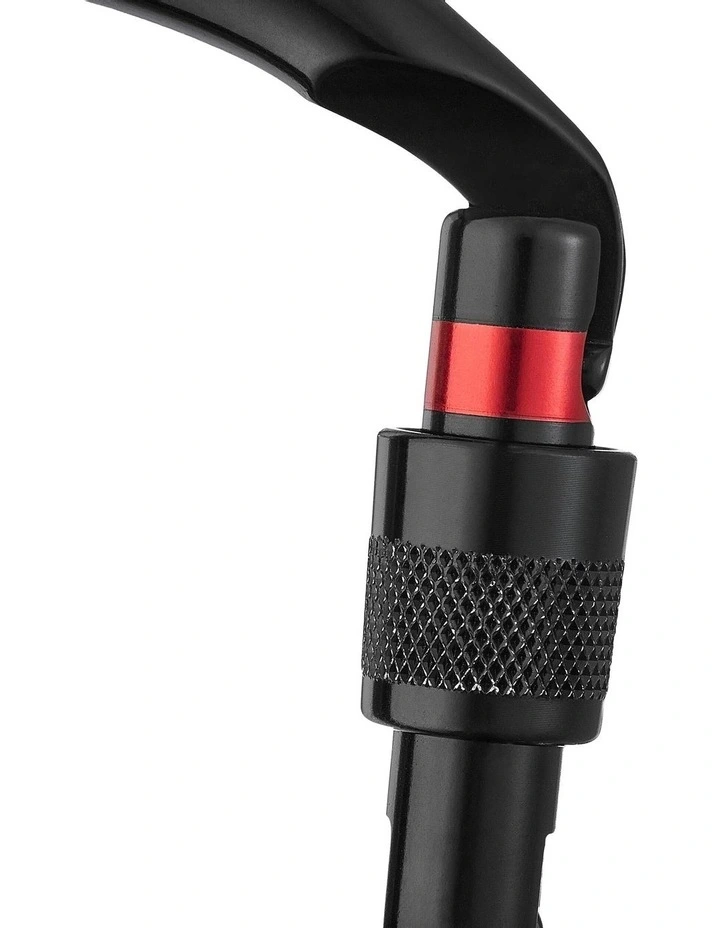 Screwgate Carabiner 3000 Secure in Black image 2