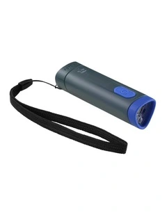 100 Lumens TL100 Battery Torchlight in Blue