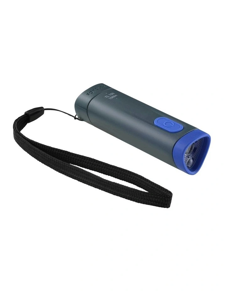 100 Lumens TL100 Battery Torchlight in Blue image 1