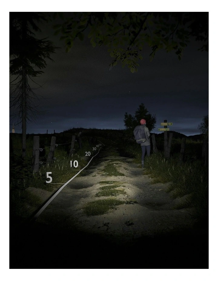 100 Lumens TL100 Battery Torchlight in Blue image 3