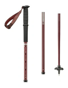Hiking Pole Arpenaz 200 in Multi
