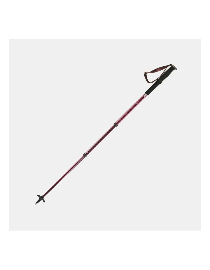 Hiking Pole Arpenaz 200 in Multi image 2