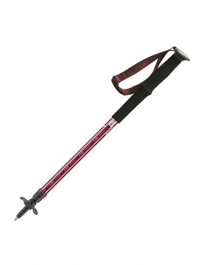 Hiking Pole Arpenaz 200 in Multi image 3