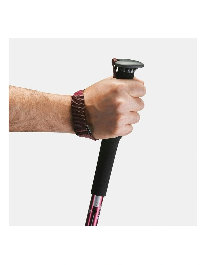 Hiking Pole Arpenaz 200 in Multi image 5