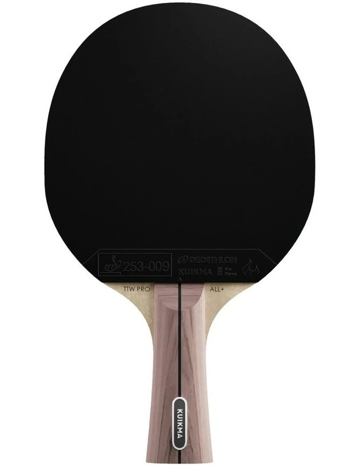 Table Tennis image 1
