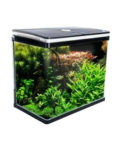 All-in-One Curved Glass Aquarium 52L in Black