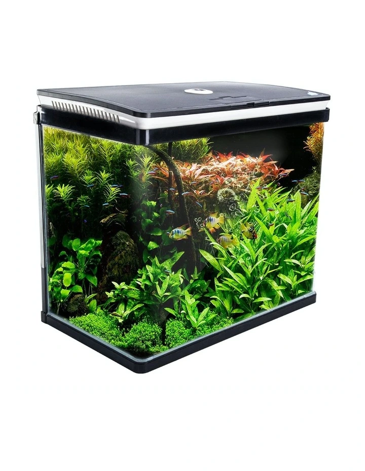 All-in-One Curved Glass Aquarium 52L in Black image 1