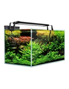 All in One Starfire Aquarium 70L in Clear