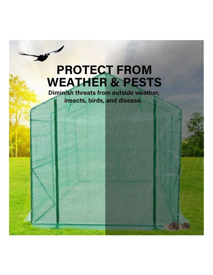 PE Apex Home Ready Garden Greenhouse Walk-In Shed 3.5x2x2m in Green image 2